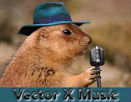 VectorXHammy